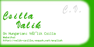 csilla valik business card